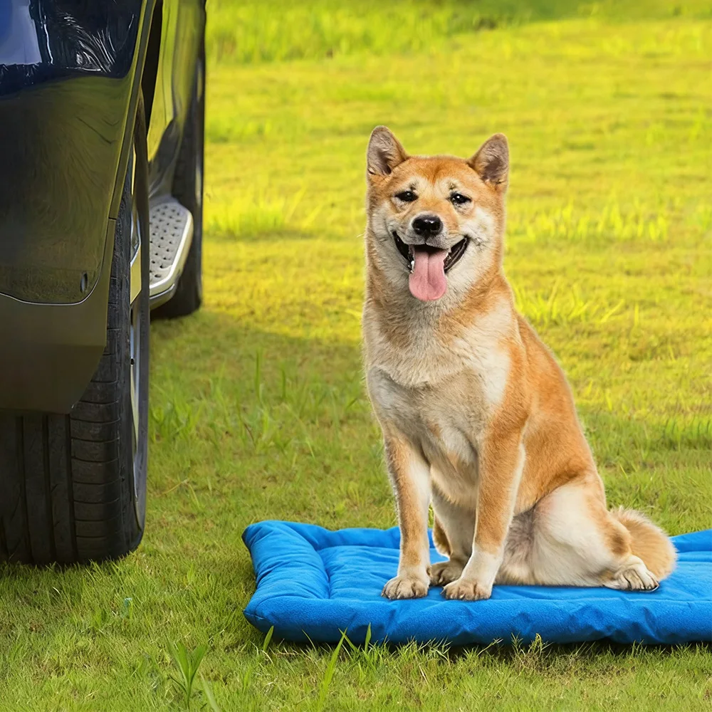 Estera para dormir portátil impermeable para mascotas, duradera, ligera, fácil de almacenar para actividades al aire libre y viajes de acampada con mascotas - imagen 3