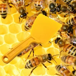 Espátula y pala desopercular miel para panal de abeja