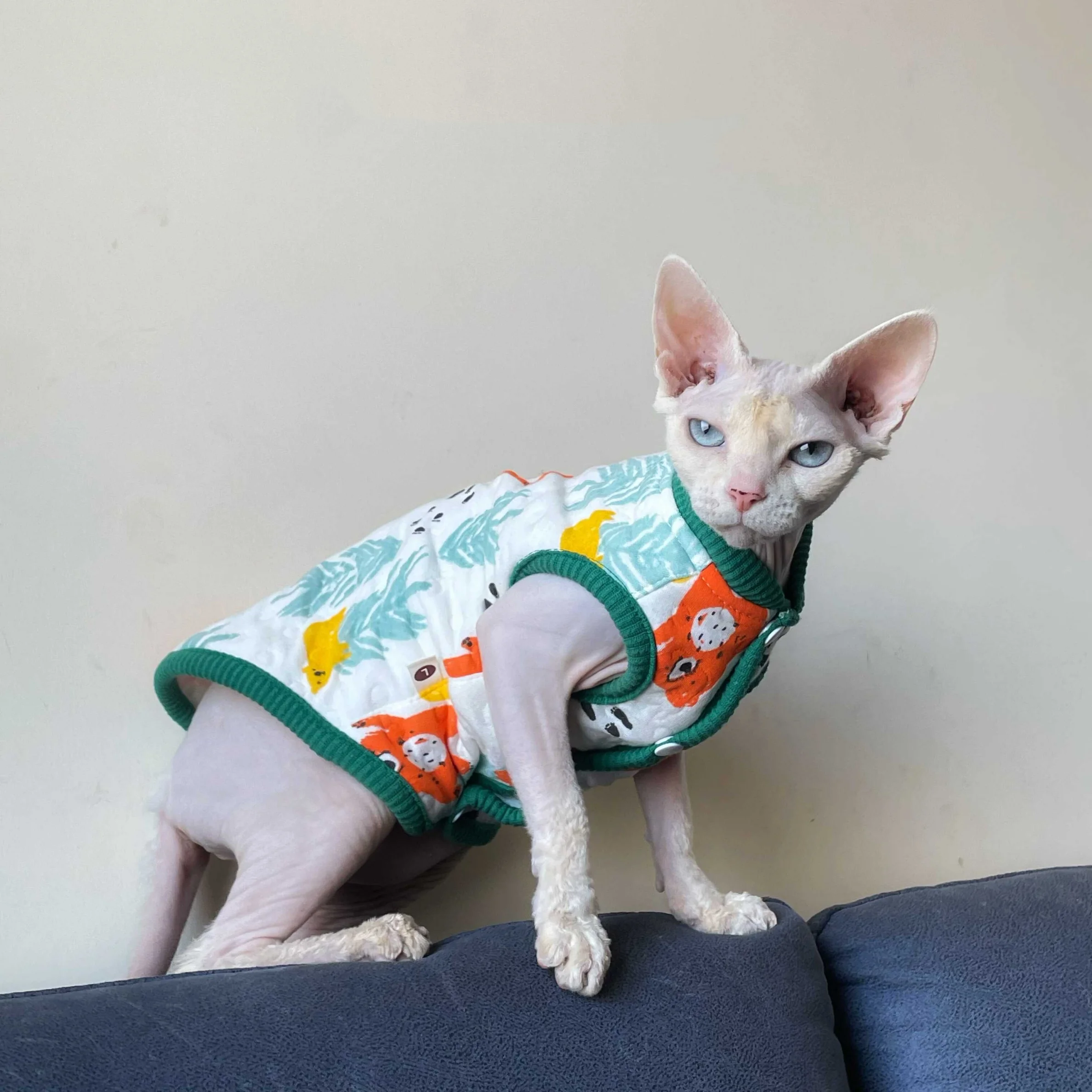 Chaleco de algodón suave para gatos Sphynx - abrigo de otoño - imagen 2