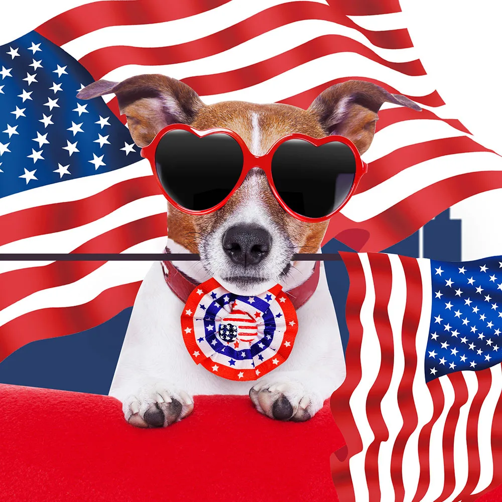 50PS 4 de julio arcos para perros pajarita extraíble para perros accesorios de Collar para mascotas pajarita para perros pequeños y gatos para el Día de la Independencia Americana - imagen 3