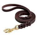 Brown Leash