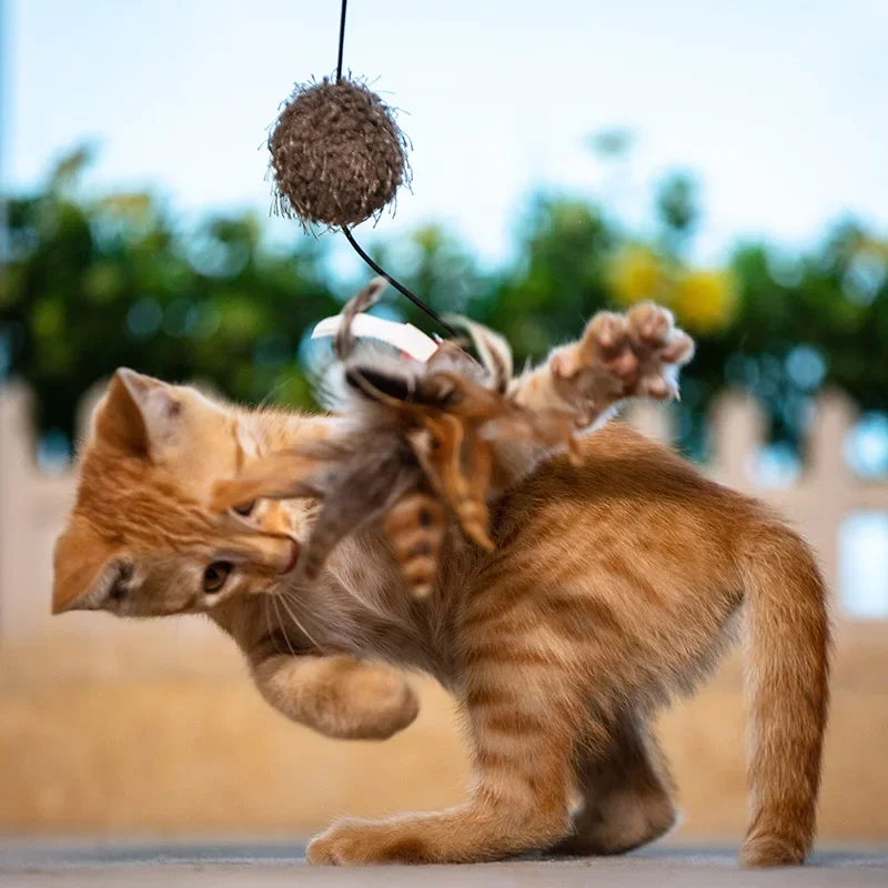 Juguete mágico para gato, pluma de palo Teaser, alta elasticidad, Bola de felpa antideslizante de mano de hilo, pluma azul - imagen 2