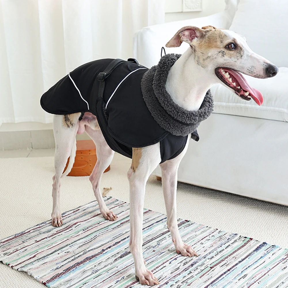 Abrigo grueso y cálido de manga para perros Whippet en invierno, chaqueta a prueba de viento, bufanda de lana, traje para galgo italiano en clima frío - imagen 4