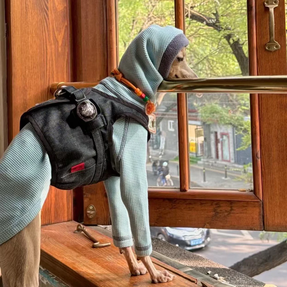 Sudadera de algodón azul hecha a mano para perros Whippet en otoño Abrigo cálido para la cabeza con cuello alto de 2 patas para galgo italiano en primavera - imagen 3