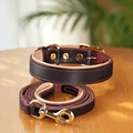 Brown Collar Leash