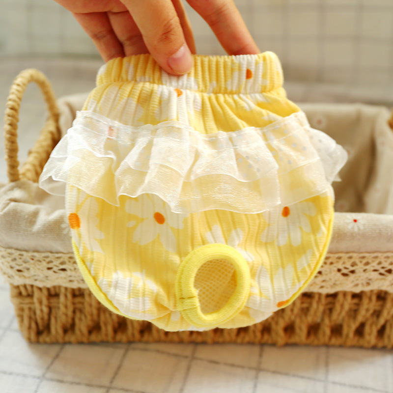 Pantalones Fisiológicos - Adaptación del perro