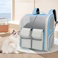 Sky Blue single bag