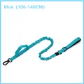 Blue Leash