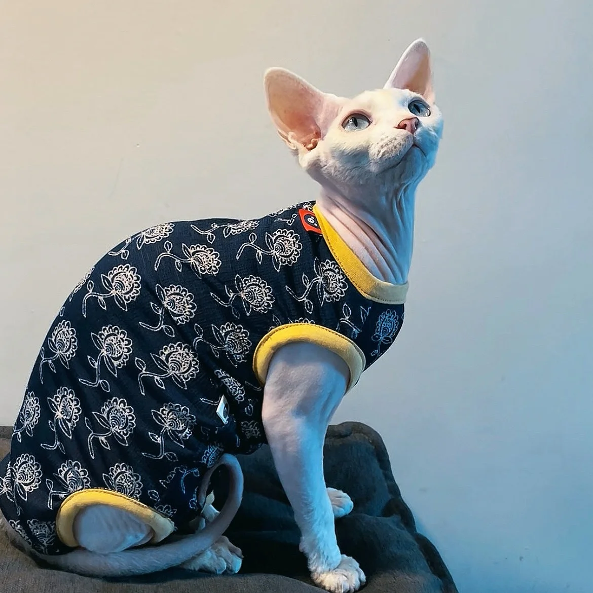 Camiseta elástica de algodón suave para Esfinge Devon Rex azul oscuro - imagen 2