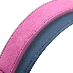 Collar de cuero acolchonado para perros – Todas las tallas