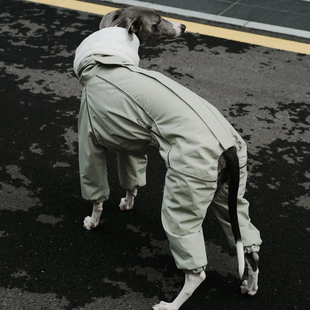 Chaqueta de forro polar grueso gris oscuro de cuatro patas de invierno con cremallera en la parte posterior para galgos italianos, a prueba de viento, impermeable y cálido, abrigo rosa con pecho ajustable para perros. - imagen 4