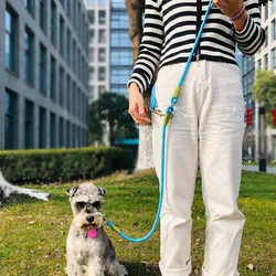 Correa reflectante nailon para perros – Segura para noche y diario