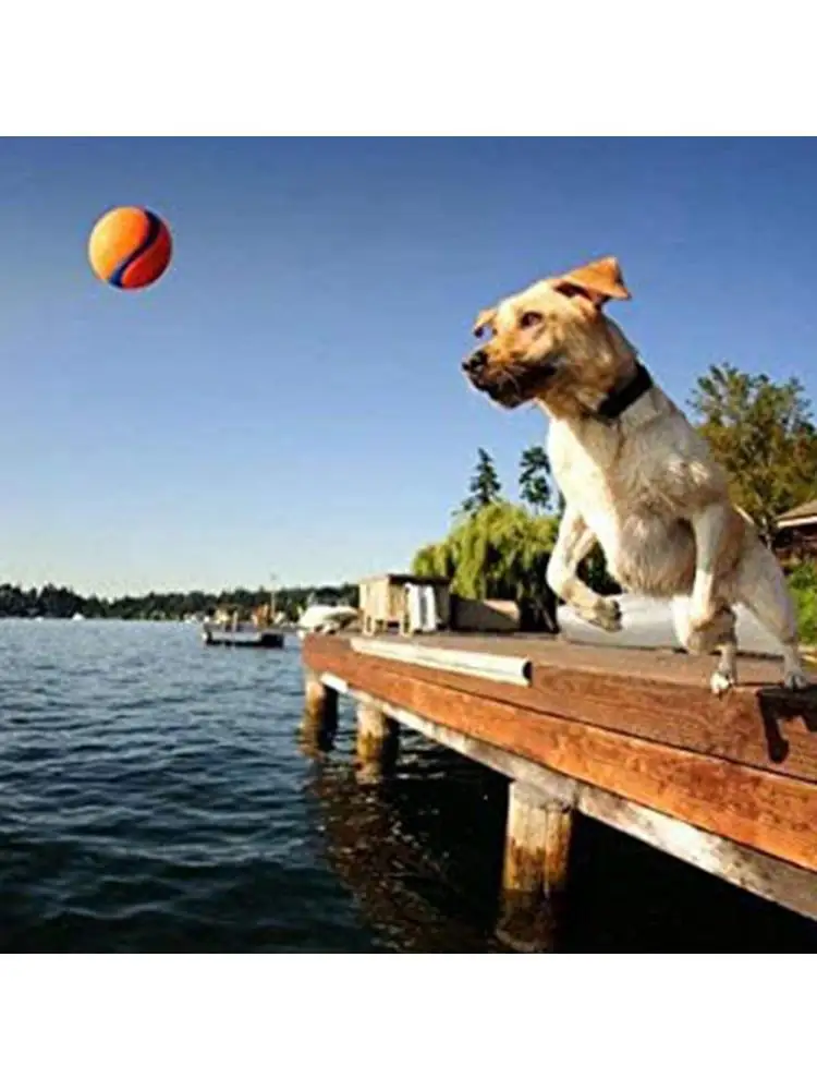 Pelota de goma para perro, juguete de resistencia a las mordeduras, divertido, Bulldog Francés, Pug, productos de entrenamiento - imagen 5