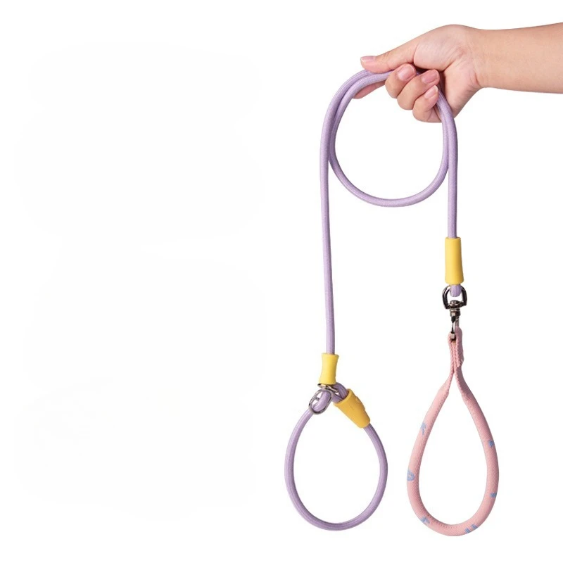 Correa de tracción y collar de nailon para perros grandes y pequeños
