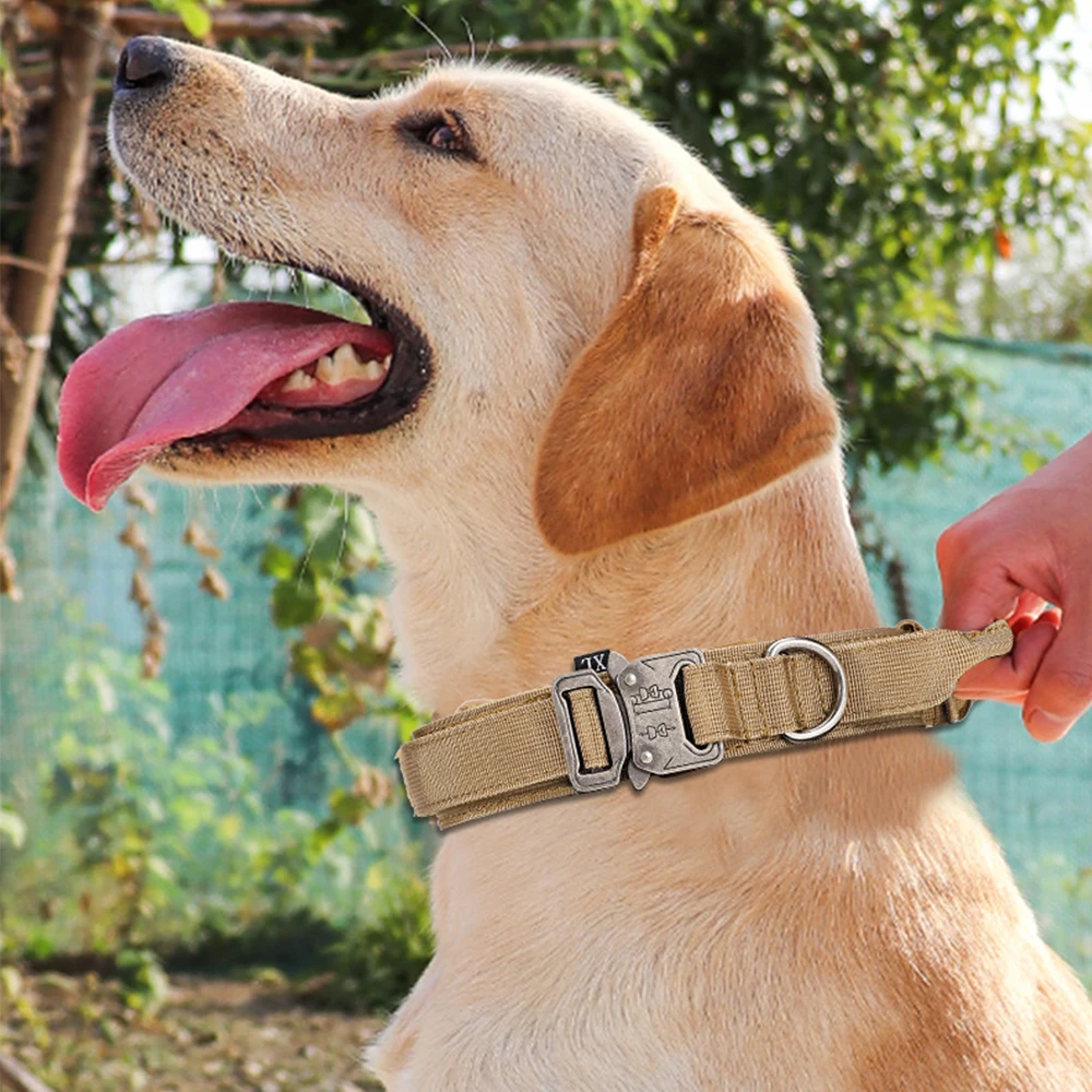 Collar táctico perro mediano grande nailon velcro paseo entrenamiento - imagen 5