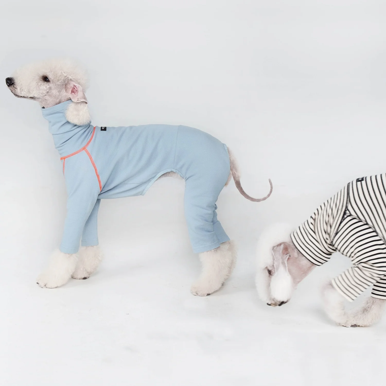 Camiseta interior café de algodón suave para Bellington Abrigo de primavera de cuatro patas para Little Greyhound Pijama naranja de cuello alto para perros medianos - imagen 3