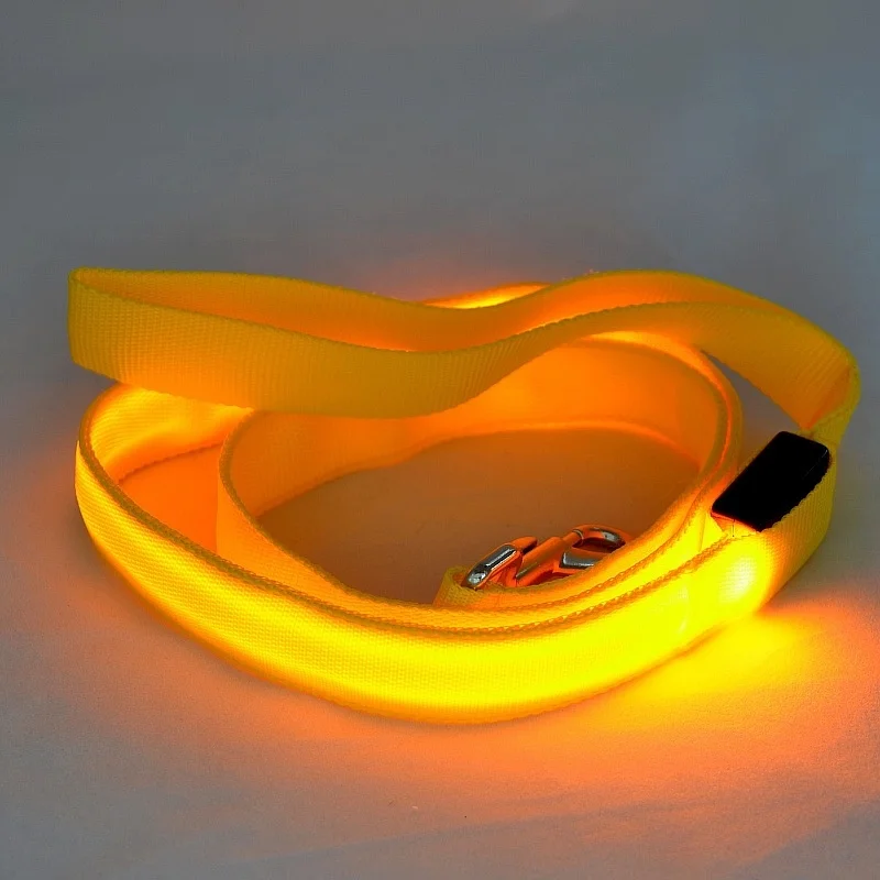 Correa de perro con luz LED, cuerda luminosa, correa de plomo para seguridad de perros, arnés de Collar de perro brillante intermitente, accesorios electrónicos para mascotas - imagen 3