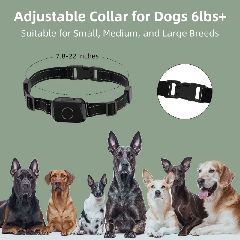 Collar antiladridos para perros: adiestramiento eficaz - imagen 4