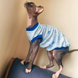 Camiseta Verde Verano para Gato Sphynx y Perro - Malla transpirable