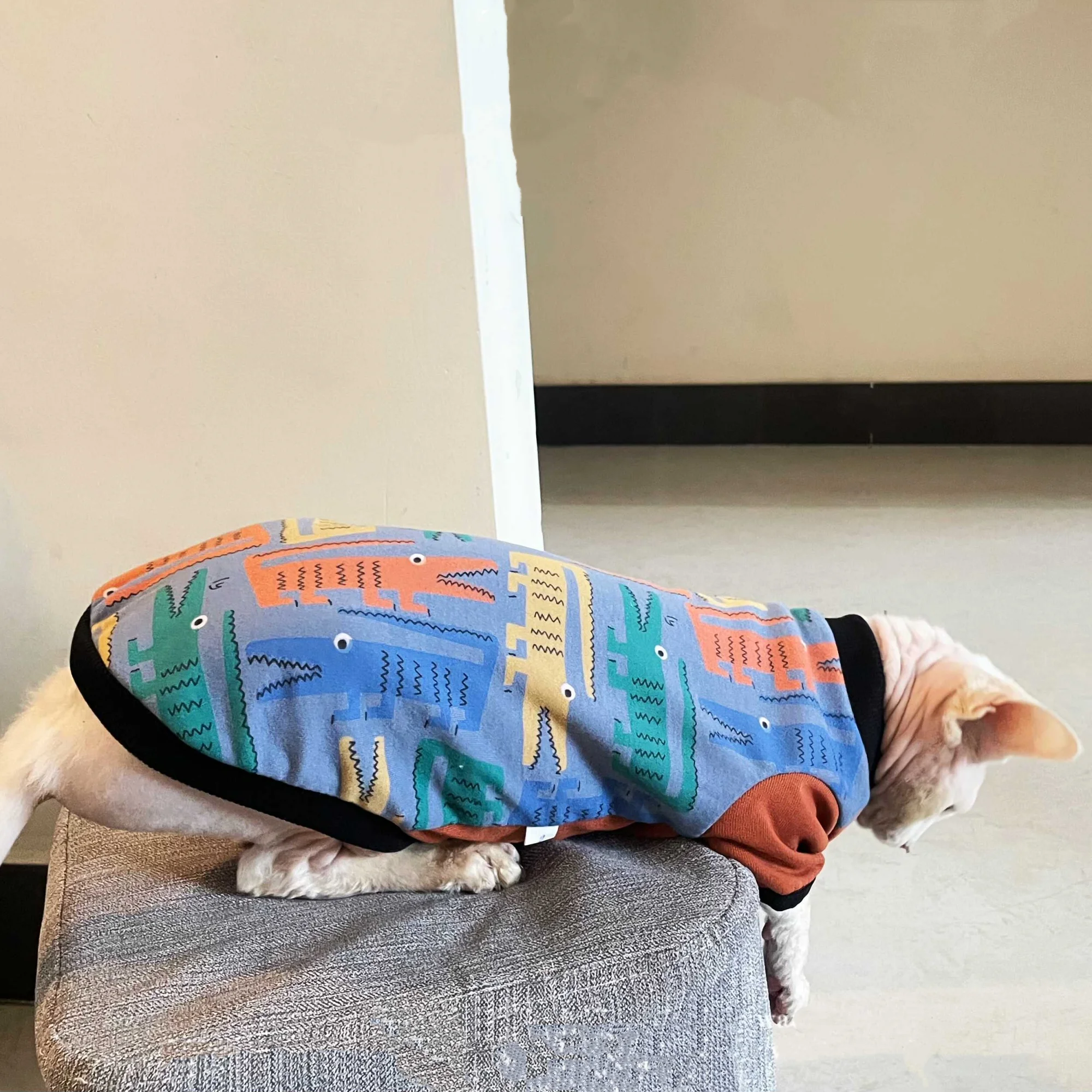Sudadera suave para gato Sphynx y Devon Rex – Jersey de algodón roja y azul - imagen 4