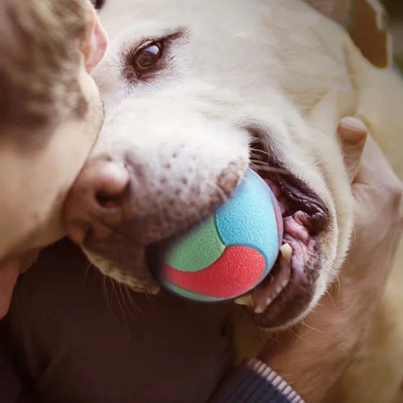 Pelota hinchable resistente a las mordeduras para perros pequeños, medianos y grandes, Bola de limpieza de dientes, juguetes para masticar, productos de entrenamiento para mascotas - imagen 5