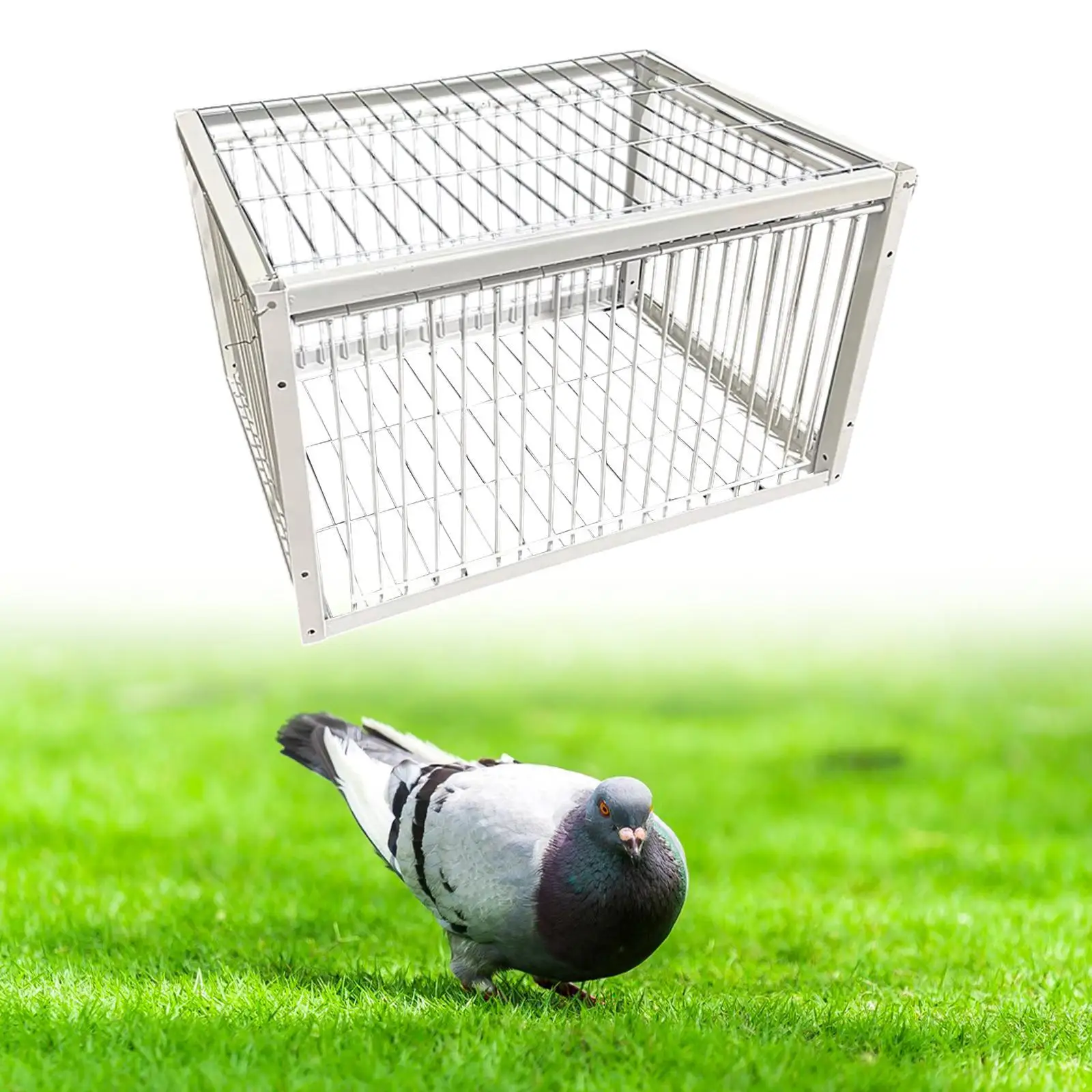 Pigeon Bird Trap Cage Automatic Pigeon Collection for Chicken Sparrows Feral