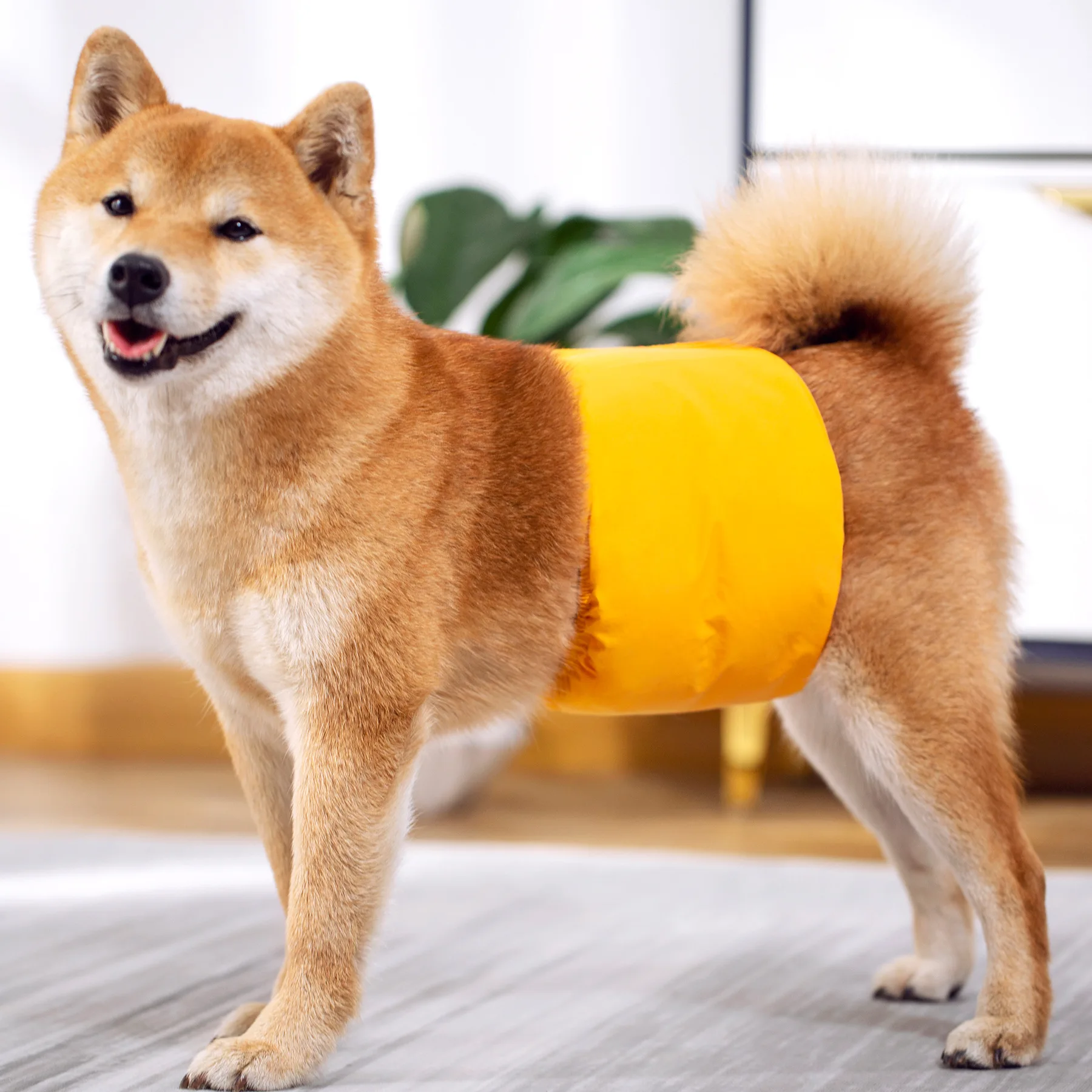 Paquete de 3 bandas para el vientre para perros, pañales lavables y reutilizables para perros, bragas envolventes para perros y gatos de alta absorción, pañales para incontinencia de mascotas - imagen 2