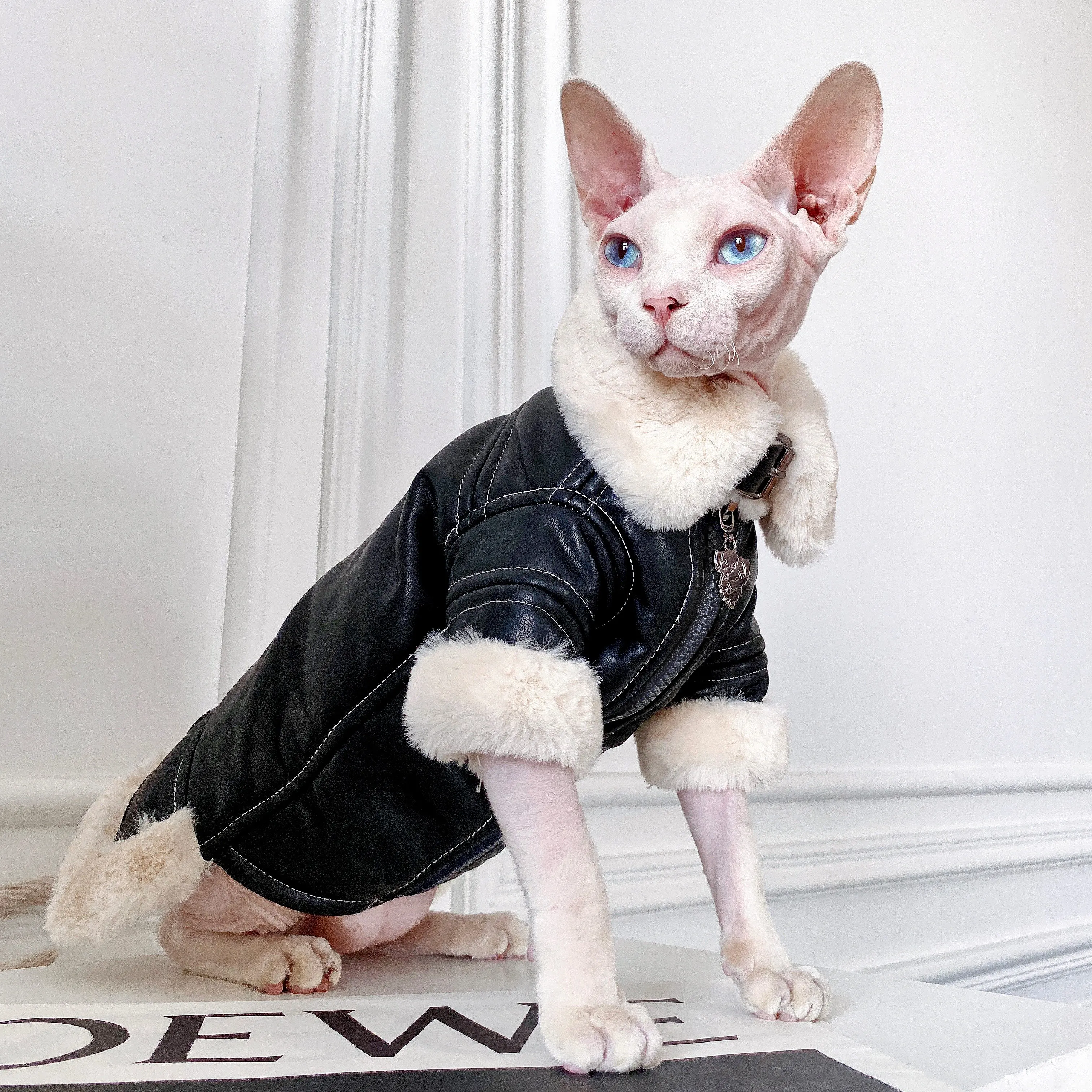 Moda Sphynx gato chaqueta de motociclista de cuero abrigo de piel ropa de gato gatito disfraces cálidos de lujo para Sphinx Devon gato ropa para gato - imagen 2