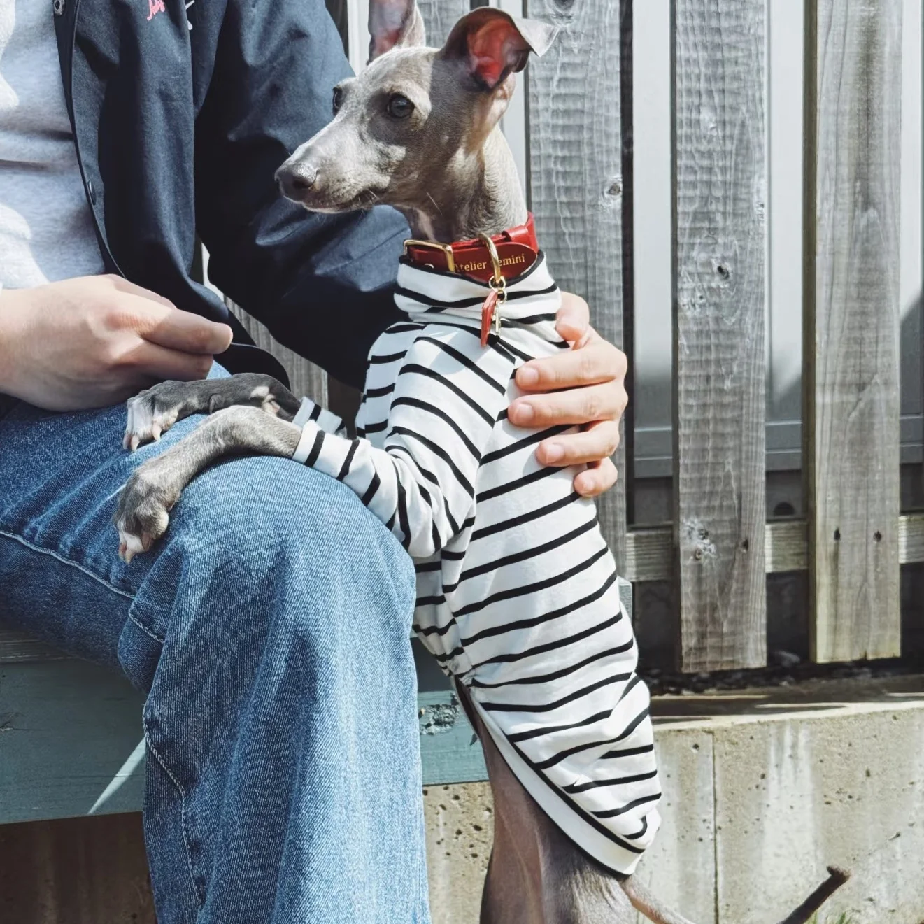 Ropa de algodón a rayas blancas para perros Bedlington, camiseta interior de manga larga para Little Greyhound, ropa de descanso de cuello alto para caniche - imagen 3