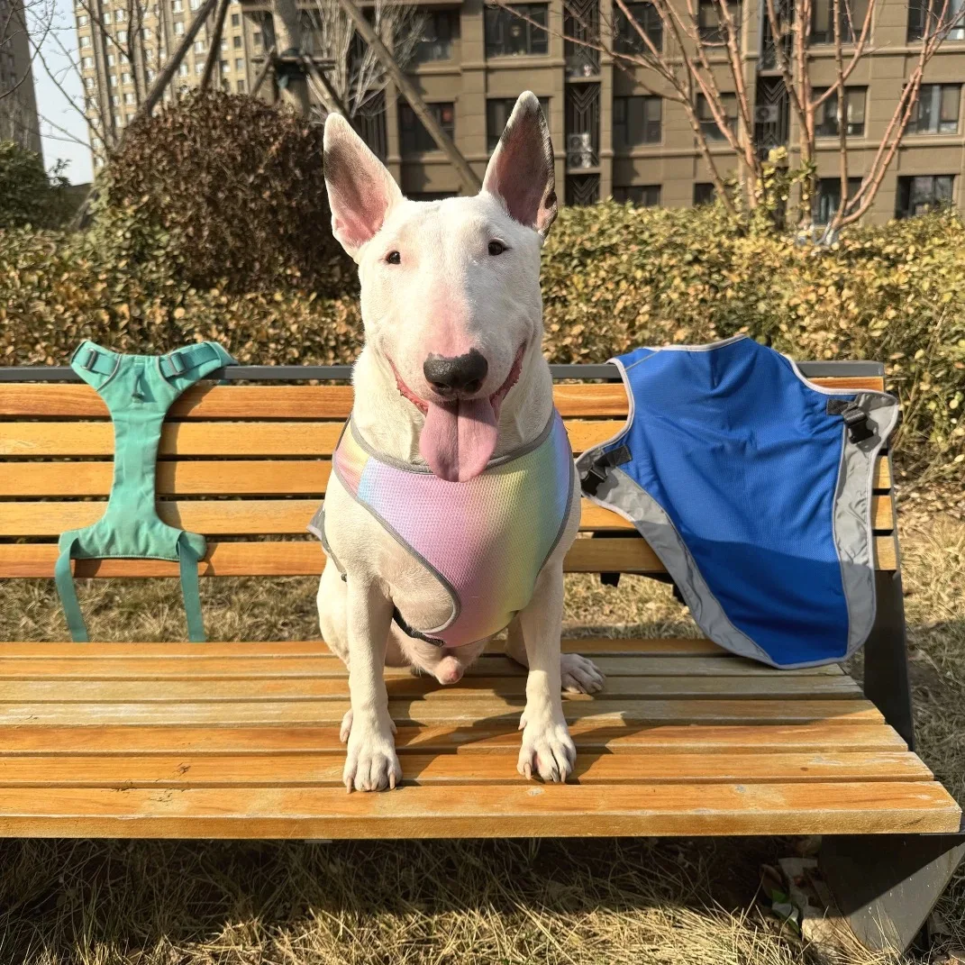 Chaleco refrescante de verano para perros, ropa de malla transpirable para perros pequeños, medianos y grandes, ropa de natación para Bulldog Francés para caminar al aire libre - imagen 2
