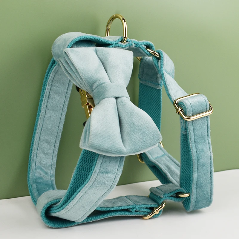 Juego de Collar y correa de terciopelo verde para perros pequeños, medianos y grandes, placa de identificación grabada personalizada, suministros para mascotas, correa para perros Velvet29 - imagen 2