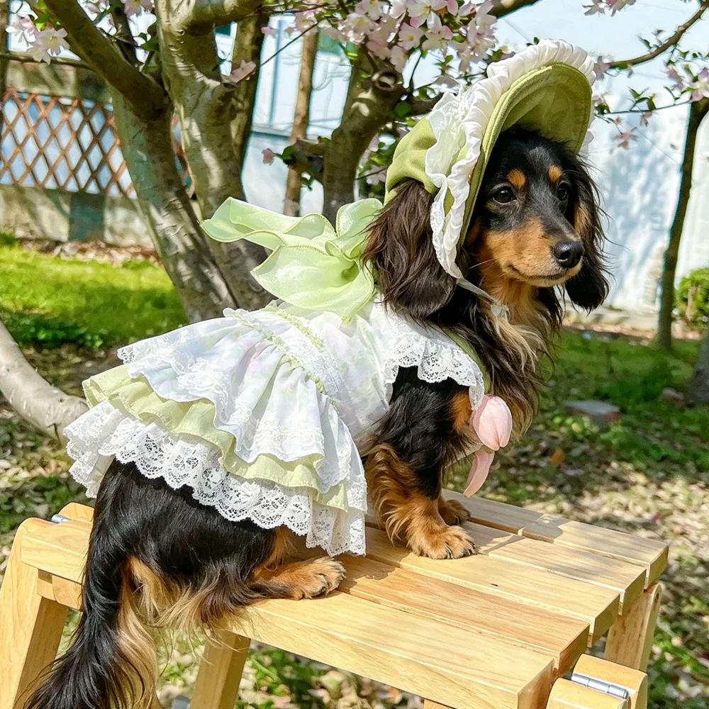 Conjunto vestido y sombrero floral para perro salchicha – Primavera-Verano