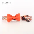Bow Tie Collar Leash