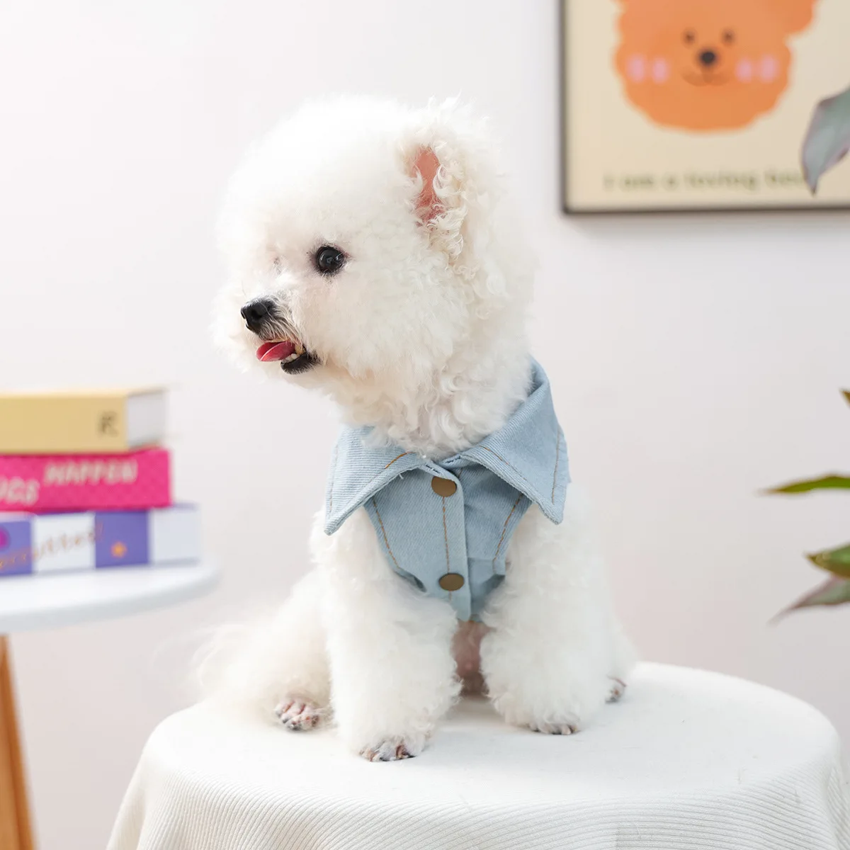 Ropa para mascotas, chaqueta vaquera bordada de otoño e invierno, cómoda chaqueta vaquera para el Día de San Valentín para gatos, ropa para perros pequeños - imagen 3