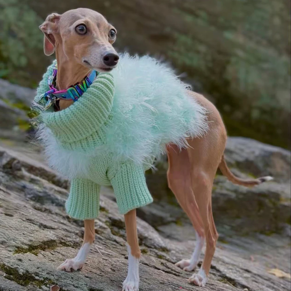 Suéter de felpa verde para Galgo Italiano y Whippet, cálido invierno - imagen 4