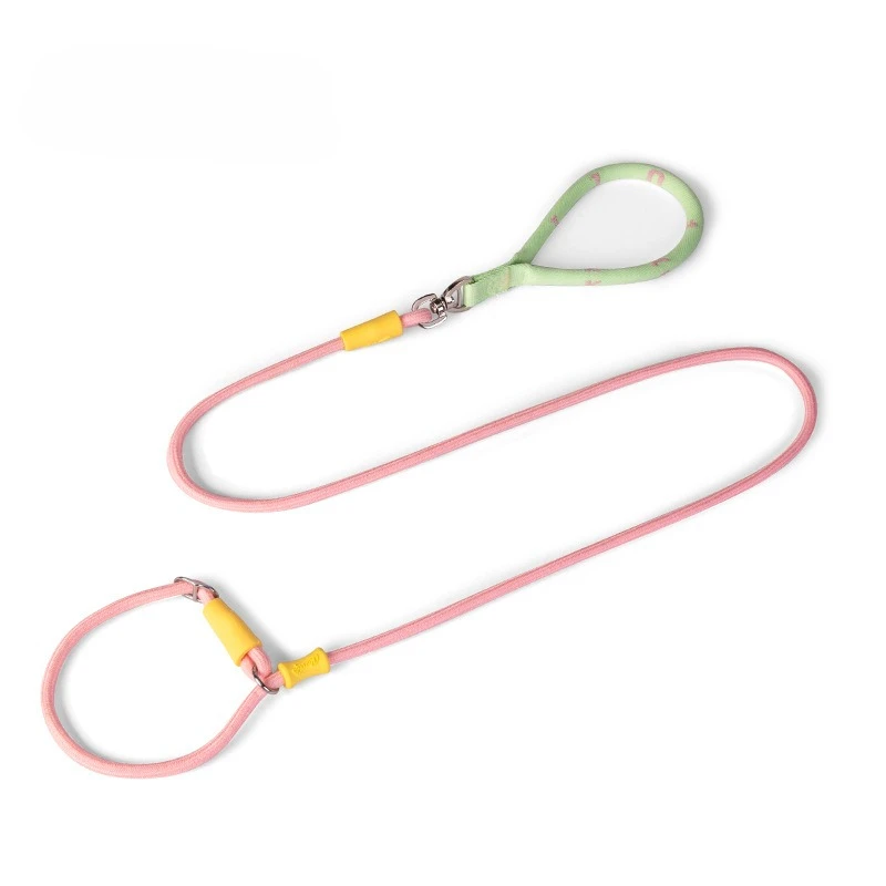 Productos para mascotas: correa de nailon cómoda