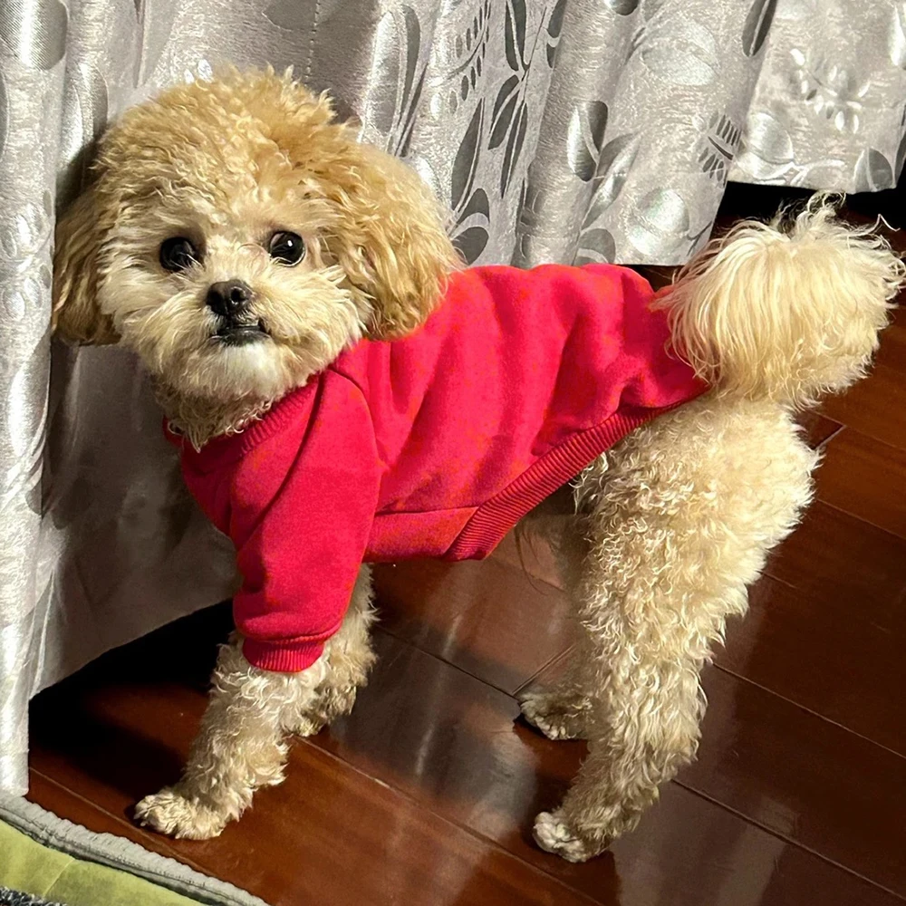 Sudadera de cuello redondo para perros y gatos con anillo de tracción, jerseys para mascotas de otoño e invierno para perros pequeños, sudadera sin capucha para cachorros sólidos - imagen 4