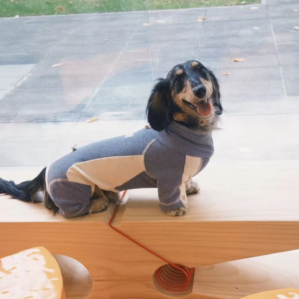 Mono suave elástico ajustable para perro salchicha – Primavera otoño - imagen 4