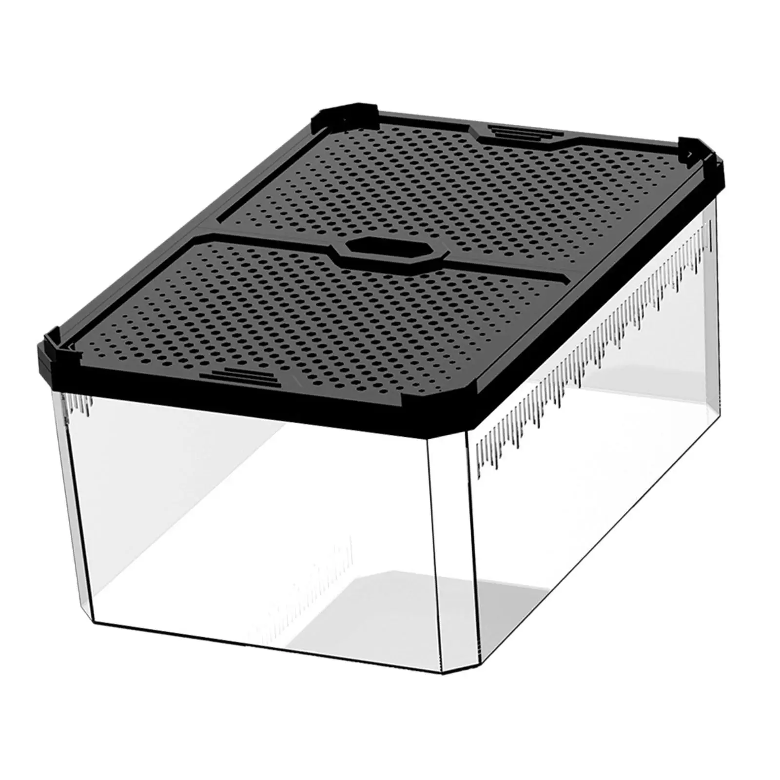Reptile Feeding Box Aquarium Fish Breeding Box with Vents Reptile Container Display Box Clear Breeding Box for Gecko Scorpion