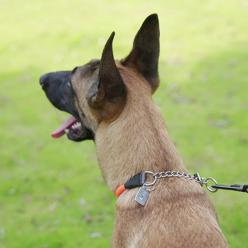 Winhyepet Collar estrangulador para perros, cadena P para mascotas de viaje, entrenamiento para caminar, collares genuinos para cachorros, perros medianos y grandes, Pitbull - imagen 4