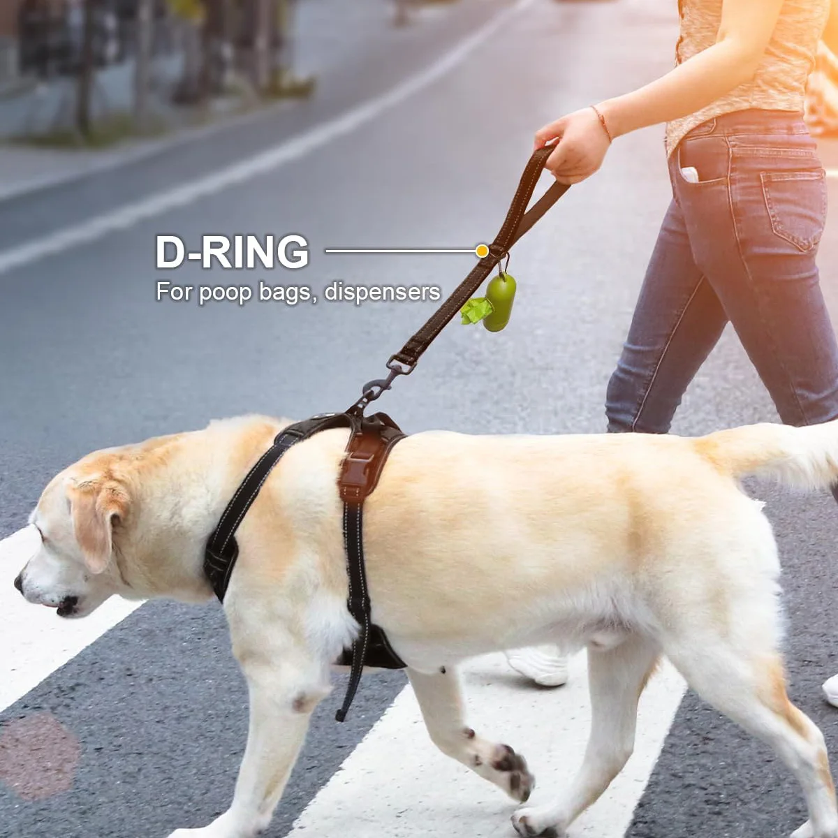 Correa corta para perros con mango acolchado y hilos reflectantes - imagen 5