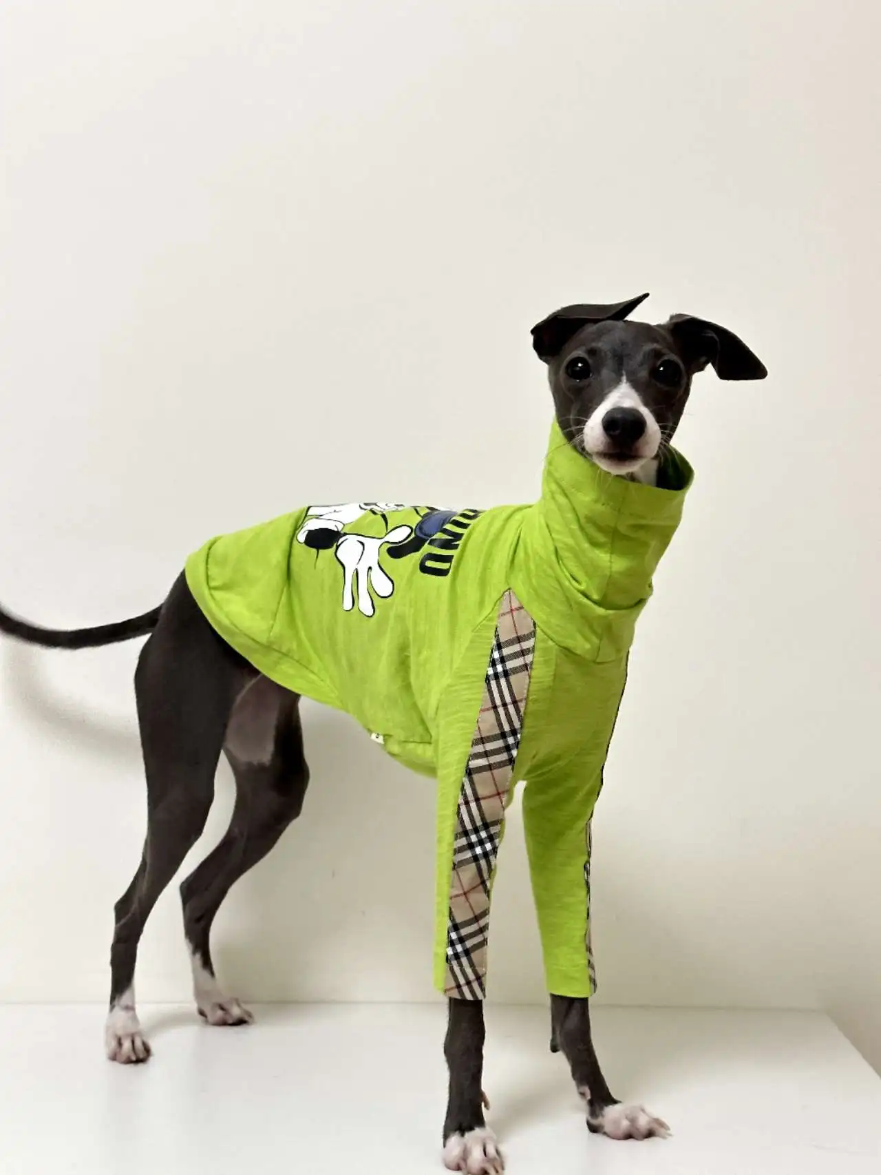 Camiseta de algodón de galgo a la moda, chaleco transpirable de dibujos animados para perros verdes, jersey para mascotas para perros pequeños, medianos y grandes, otoño y primavera - imagen 2