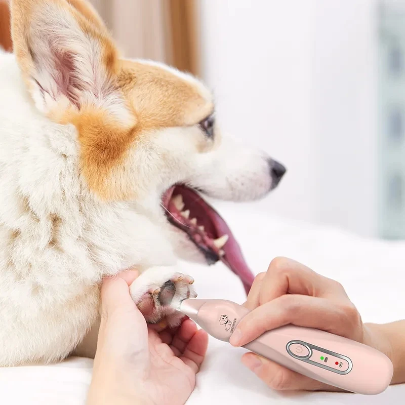 Cortadora profesional de pedicura para mascotas, recortadora de patas de perro con luz LED, afeitadora de bajo ruido para gatos, recargable por USB - imagen 2