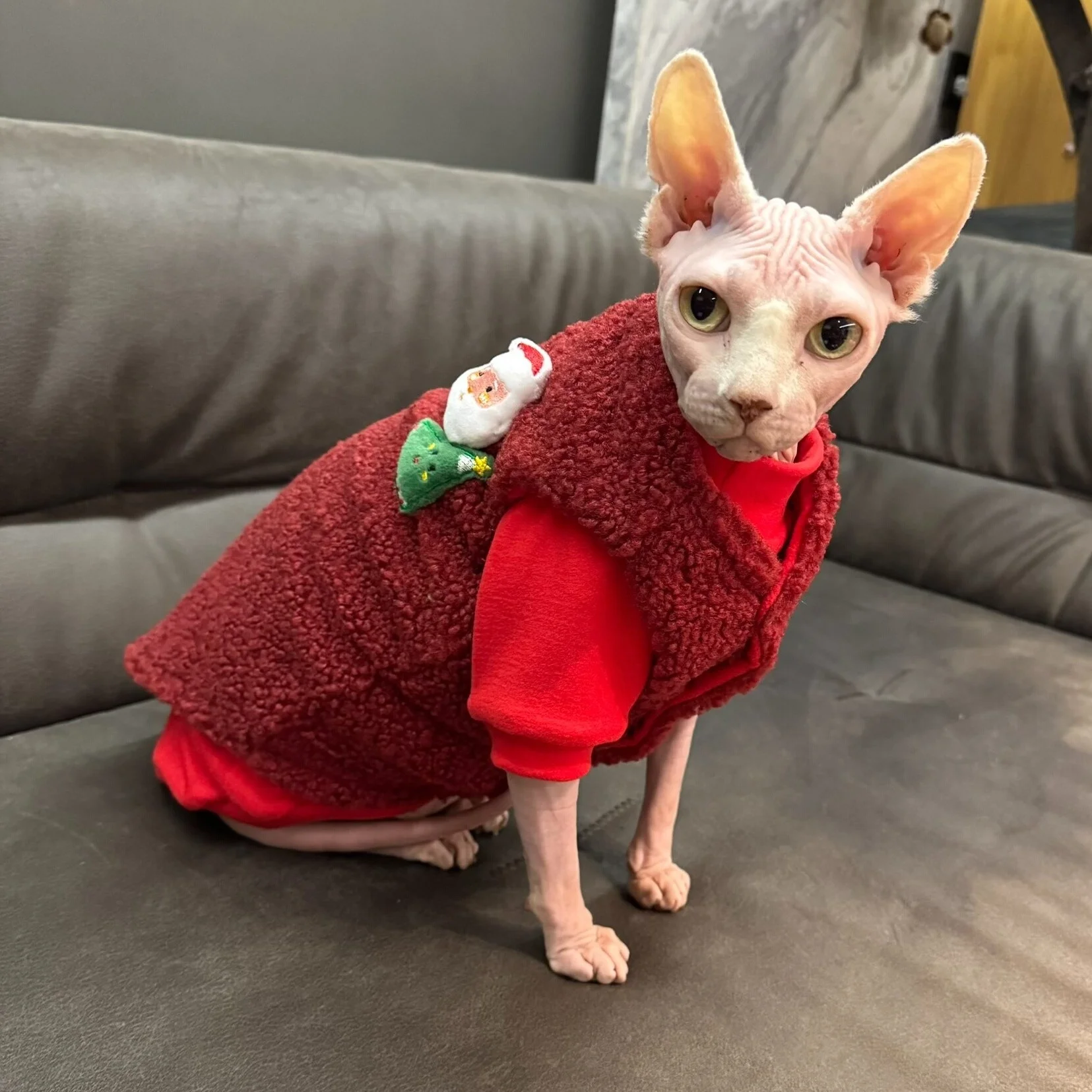 Chaleco polar rojo invierno para gatos Sphynx y Devon Rex – Térmico