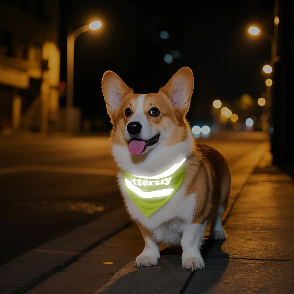 Pañuelo reflectante de seguridad para perros, bufanda personalizada para perros, Collar con estampado gratuito, nombre de mascota para perros pequeños y medianos, accesorios, ropa - imagen 5