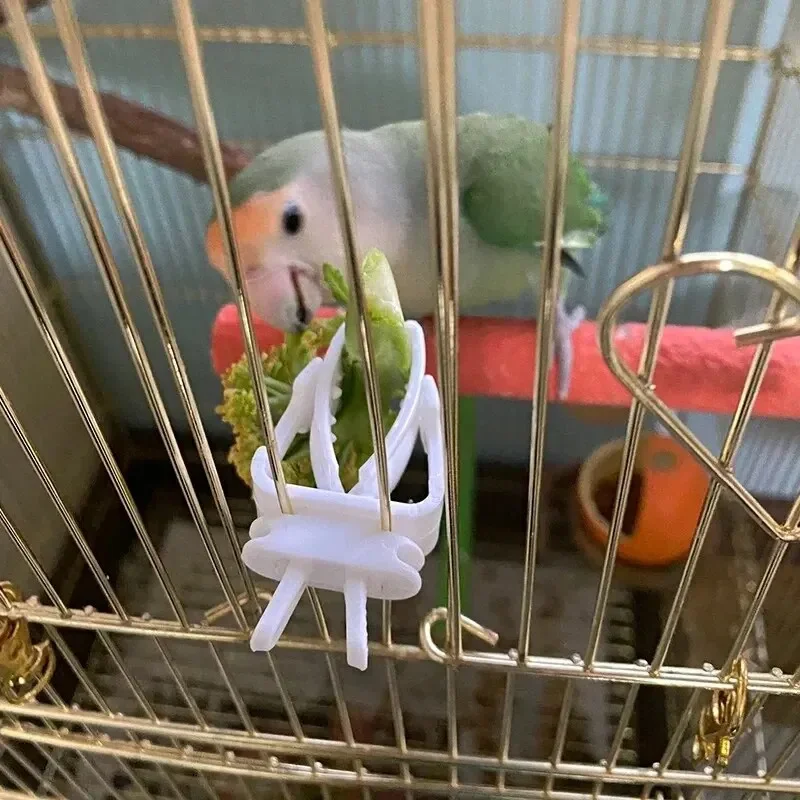 Soporte para comida de pájaros y mascotas, Clip para loros, frutas y verduras, dispositivo alimentador de huesos de sepia, abrazadera, accesorios para jaulas de pájaros, 3 uds.