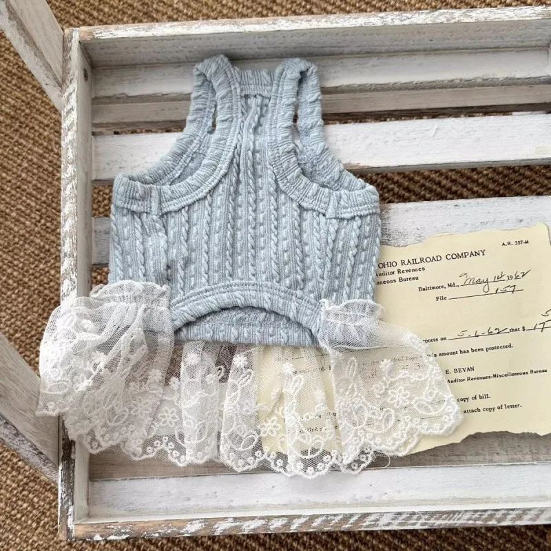 Vestido a cuadros de verano para mascotas, ropa para gatos, talla fina, cachorro, Teddy, lazo de Yorkshire, camiseta sin mangas de encaje, ropa para cachorros - imagen 3