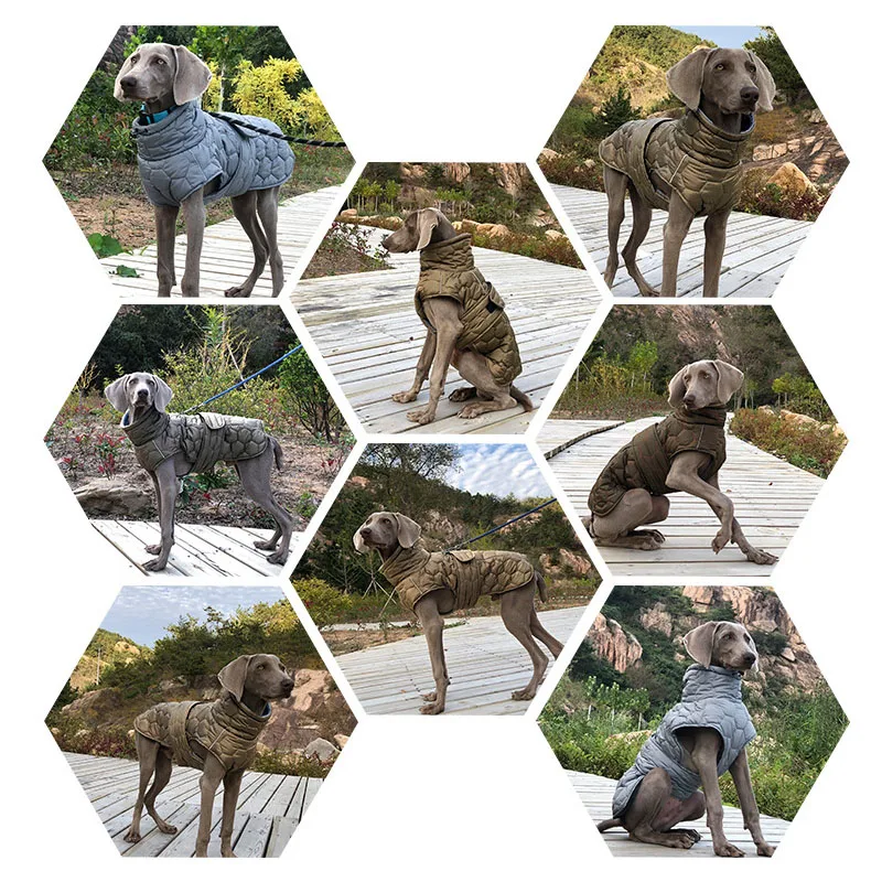 Ropa para perros grandes galgo italiano, abrigo de invierno, chaqueta para perros de cuello alto con forro polar cálido reflectante ajustable para perros grandes - imagen 5