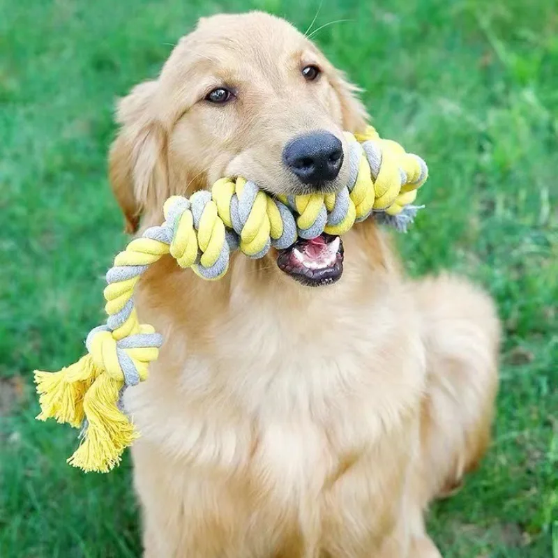 Juguetes para perros, cuerda resistente a mordeduras, juguete para masticar para perros, dientes de algodón suave, molienda, resistente a mordeduras, accesorios interactivos de juguete para perros - imagen 2