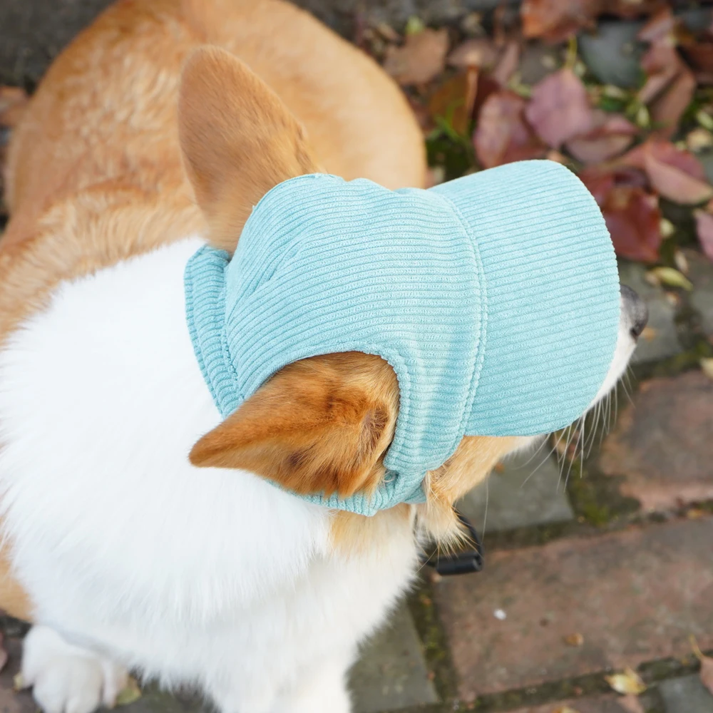 Gorra de béisbol para perros – Ajustable en pana resistente - imagen 5